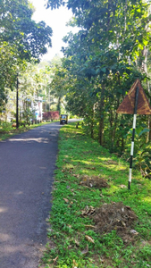 Residential Plot 57 Cent for Sale in