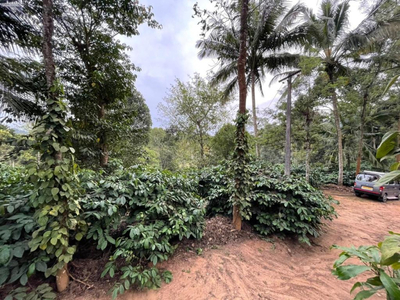 Residential Plot 60 Cent for Sale in Kulikadavu, Palakkad