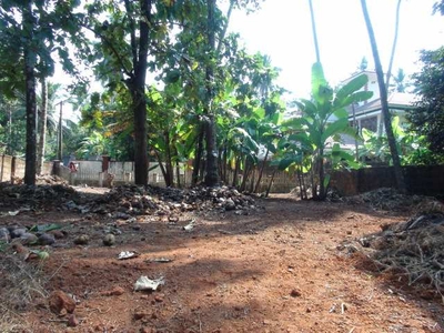Residential Plot 8 Cent for Sale in