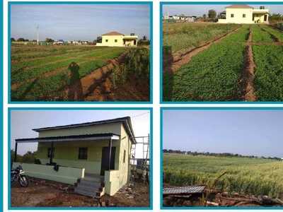 1 BHK Farm House 4 Acre for Sale in