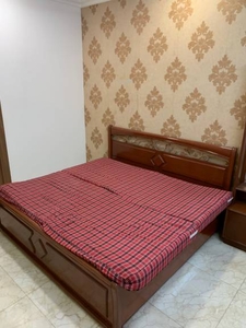 1100 sq ft 3 BHK 2T Apartment for rent in Reputed Builder Ru DDA MIG FLAT at Pitampura, Delhi by Agent Shivaay Estates
