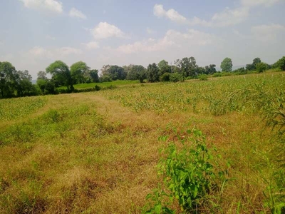 Agricultural Land 2 Acre for Sale in Bargi, Jabalpur