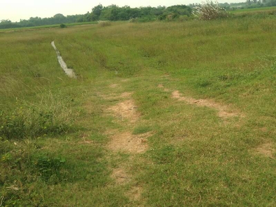 Agricultural Land 2 Acre for Sale in Kurungulam, Thanjavur