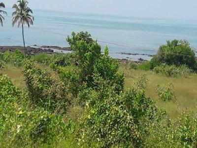 Residential Plot 30 Acre for Sale in
