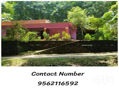 For sale House and plot