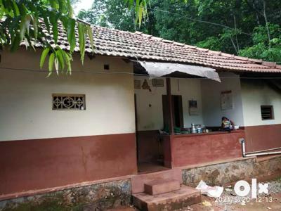 Odu etta veedu ( 4 bedroom ), 1.06 acre rubber thottam vilppanaku