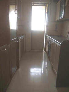 1 BHK Apartment 340 Sq.ft. for Rent in