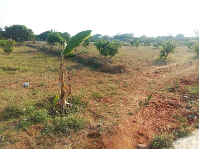 Agricultural Land 108900 Acre for Sale in Shoolagiri, Hosur