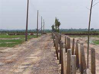 Residential Plot 119 Sq. Yards for Sale in Sunaria Chowk, Rohtak