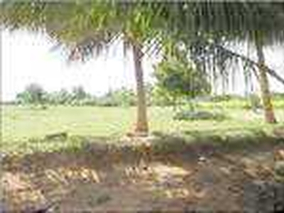 Residential Plot 1200 Sq.ft. for Sale in Thanthoni, Karur