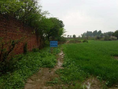 Residential Plot 126 Sq. Yards for Sale in