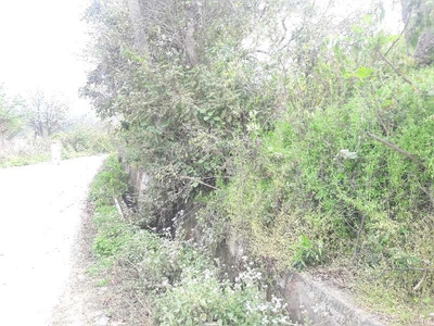 Agricultural Land 15 Acre for Sale in Samba, Jammu