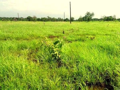 Residential Plot 1614 Sq.ft. for Sale in Saralgaon, Murbad, Thane