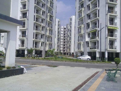 2 BHK Apartment 1325 Sq.ft. for Rent in