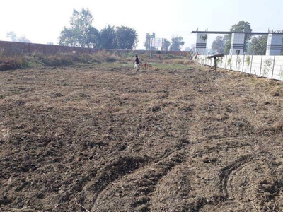 Residential Plot 201 Sq. Yards for Sale in Chandigarh Road, Ludhiana