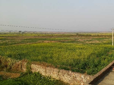 Agricultural Land 24 Bigha for Sale in Talera, Bundi