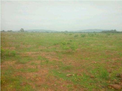 Commercial Land 2420 Sq. Yards for Sale in Nuzvid, Vijayawada
