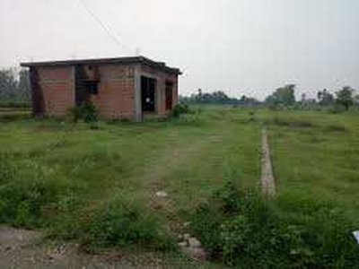 Residential Plot 250 Sq. Yards for Sale in