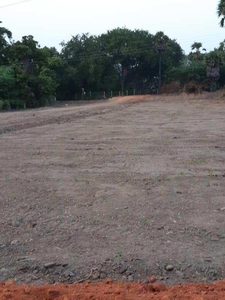Commercial Land 28000 Sq.ft. for Rent in Paravai, Madurai