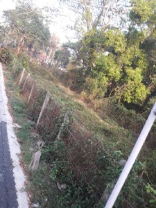 Residential Plot 42 Cent for Sale in