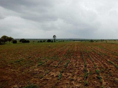 Agricultural Land 6 Acre for Sale in Lohara, Osmanabad