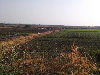 Agricultural Land 7 Bigha for Sale in Notada, Bundi