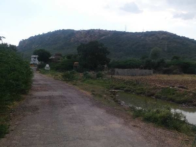 Agricultural Land 97 Bigha for Sale in Talera, Bundi