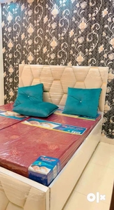 2 bhk furnished flat in dwarka mor