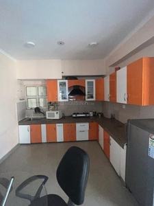 3 BHK Flat for rent in Sector 137, Noida - 1750 Sqft