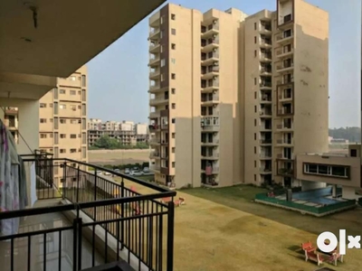 3bhk flat rent Bollywood heights Peermachla
