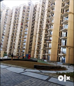 AVAILABLE FOR RENT 2BHK SOCIETY FLAT GURUGRAM SECTOR 37D