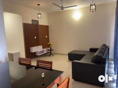 Brand New flat fully furnished family only At vazhakkala