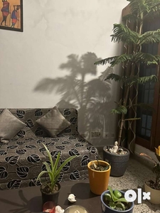 Need a roommate for sharing governmrnt flat