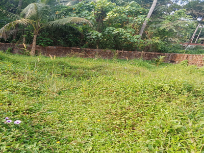 Commercial Land 2740 Sq.ft. for Sale in Adayar, Mangalore