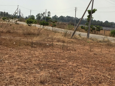 4.8/acres Agreeculture Land For Sale At Devanahalli