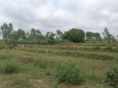 Agricultural Land 1 Acre for Sale in Bennur Road, Mysore