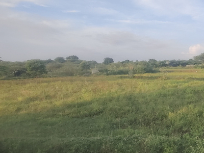 Agricultural Land 1 Acre for Sale in Manamadurai, Sivaganga