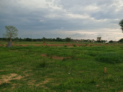 Agricultural Land 10 Acre for Sale in Bhikangaon, Khargone
