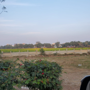 Agricultural Land 1100 Sq. Yards for Sale in