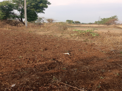 Agricultural Land 13 Acre for Sale in Barwaha, Khargone