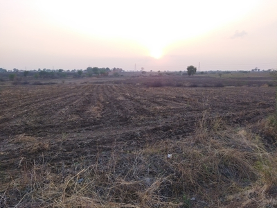 Agricultural Land 15 Acre for Sale in Walgaon, Amravati