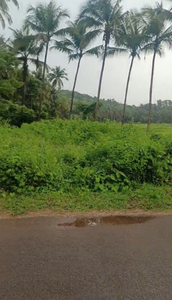 Agricultural Land 15000 Sq. Meter for Sale in