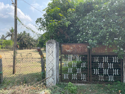Agricultural Land 15000 Sq.ft. for Sale in Vaitheeswarankoil, Nagapattinam