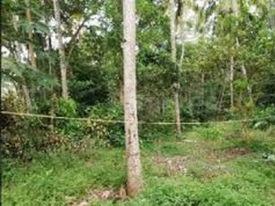 Agricultural Land 170 Cent for Sale in Chittur, Palakkad