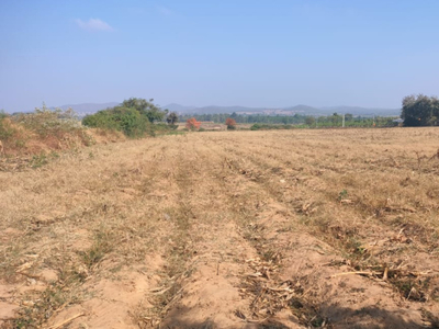 Agricultural Land 2 Acre for Sale in Ayanur, Shimoga