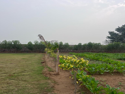 Agricultural Land 2 Acre for Sale in Bandhwari, Gurgaon