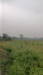 Agricultural Land 2 Acre for Sale in Umred, Nagpur