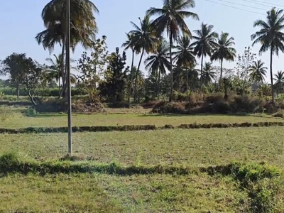 Agricultural Land 2 Ares for Sale in Srirangapatnam, Mysore