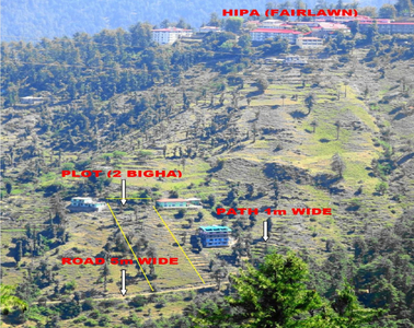 Agricultural Land 2 Bigha for Sale in Main Road, Shimla