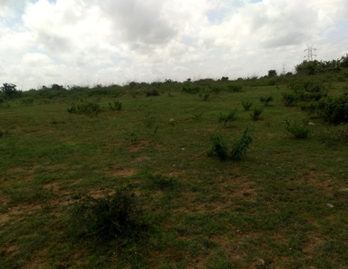Agricultural Land 200 Sq. Yards for Sale in Shabad, Rangareddy